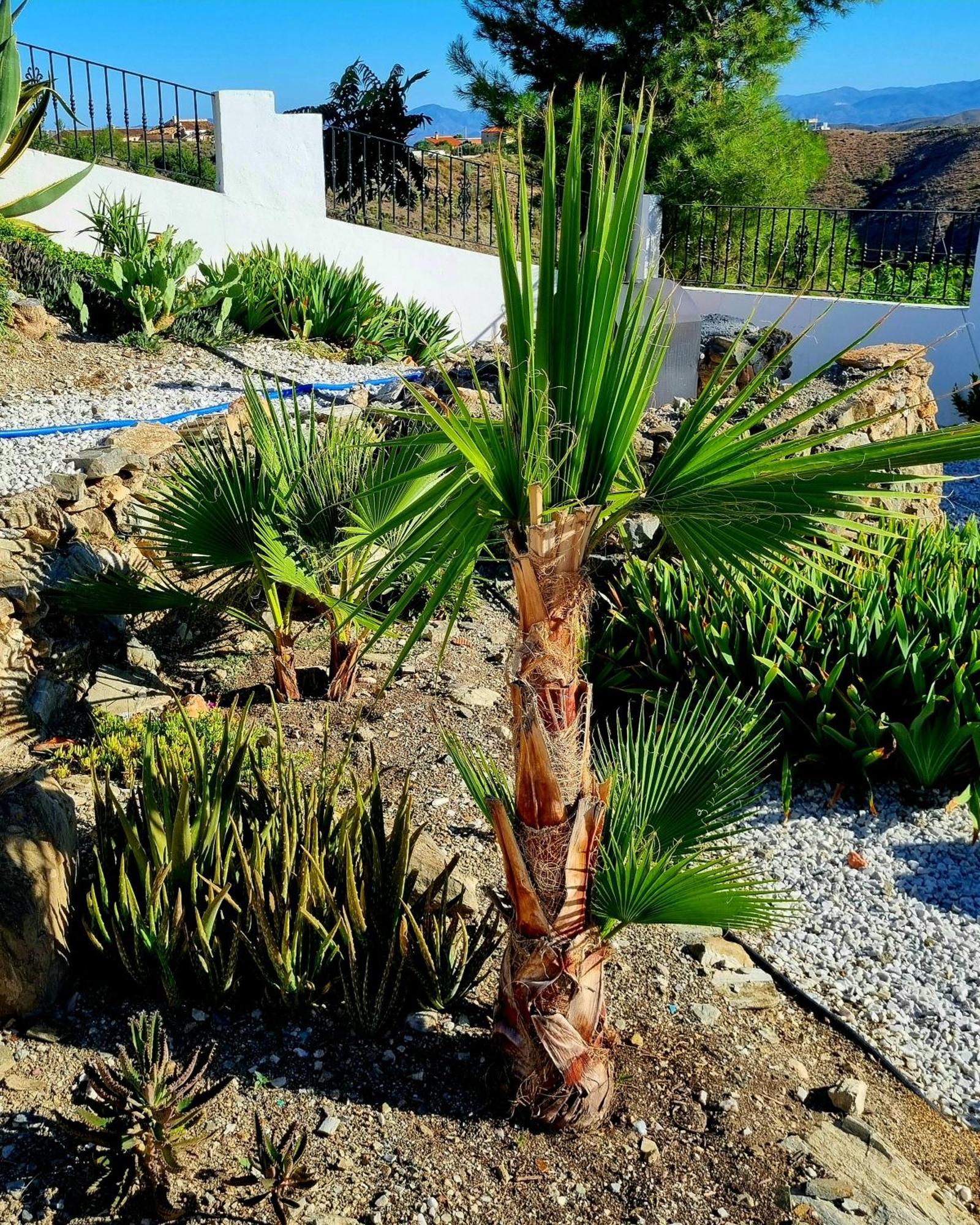 Apartamento Cortijo Nudista Con Vistas Oria Exterior foto