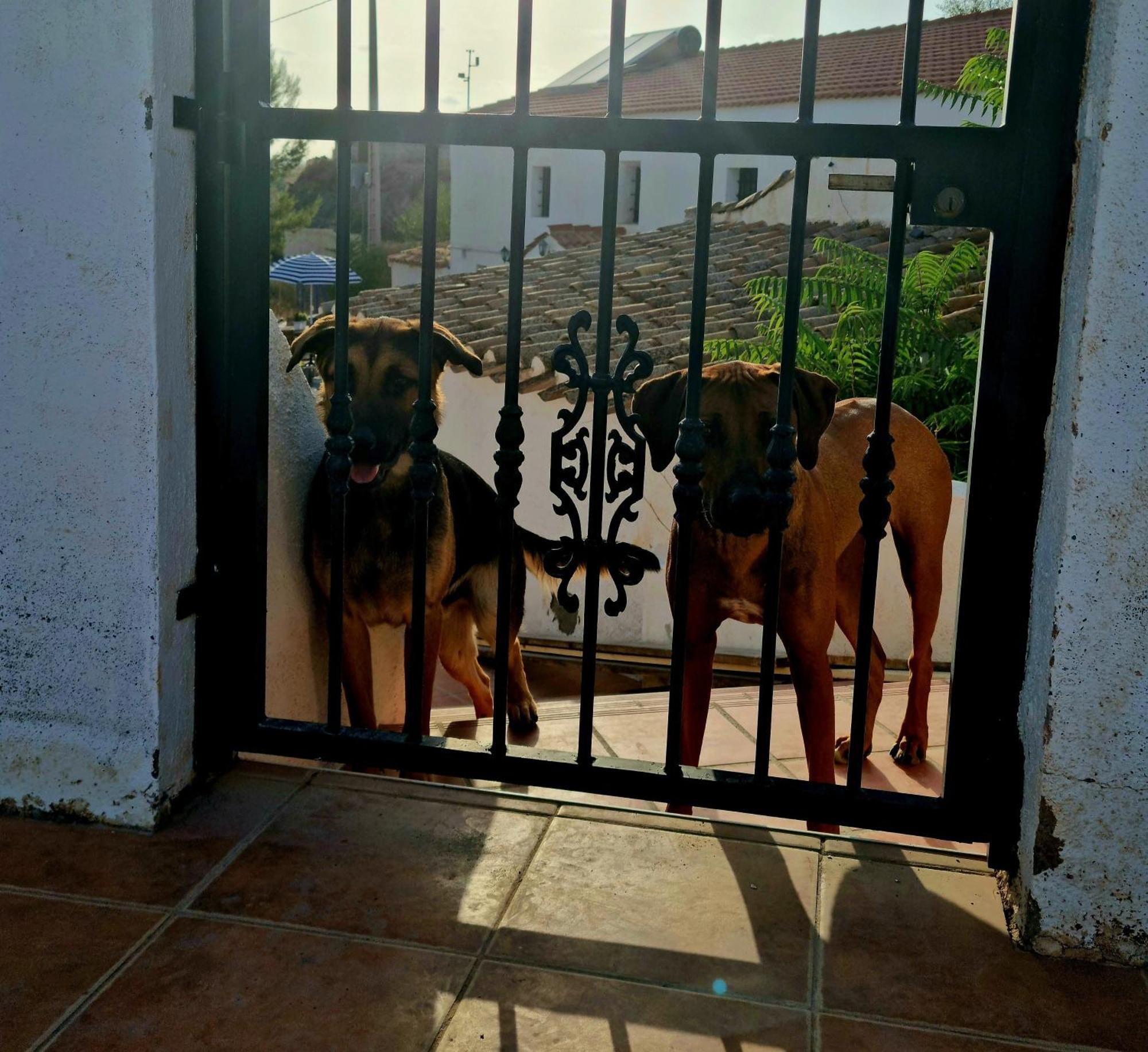 Apartamento Cortijo Nudista Con Vistas Oria Exterior foto